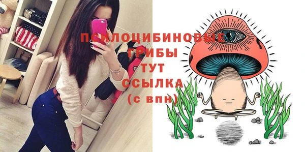 спайс Алексин