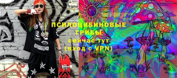 ешки Алексеевка