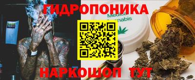 молекула духа Бердск