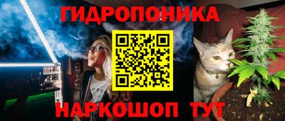 прущие грибы Белореченск