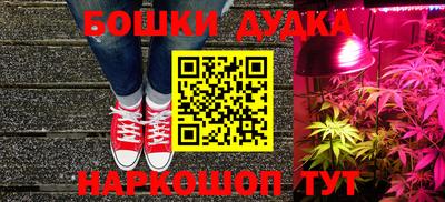 молекула духа Бердск