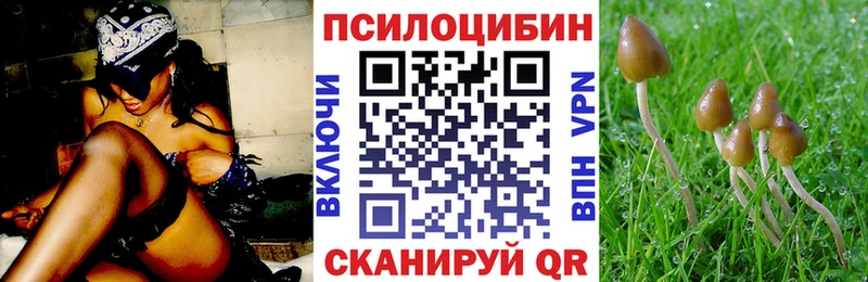 Псилоцибиновые грибы мухоморы  закладка  Бийск 