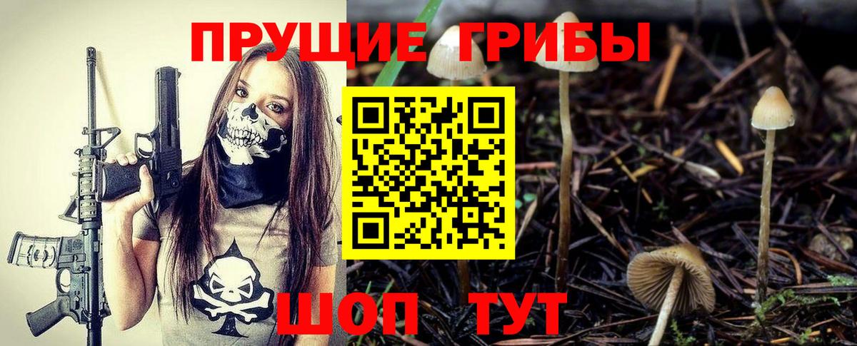 Галлюциногенные грибы GOLDEN TEACHER  Вход с VPN  Бийск 